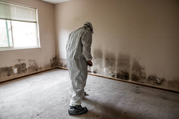 Best Commercial Mold Remediation in Governors Clu, NC